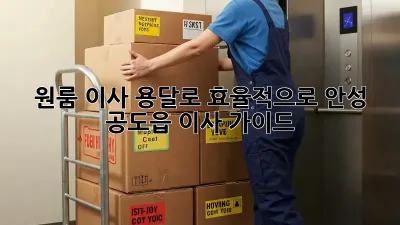 원룸 이사, 용달로 효율적으로! 안성 공도읍 이사 가이드