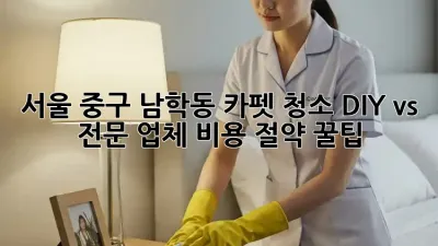 서울 중구 남학동 카펫 청소, DIY vs 전문 업체: 비용 절약 꿀팁!